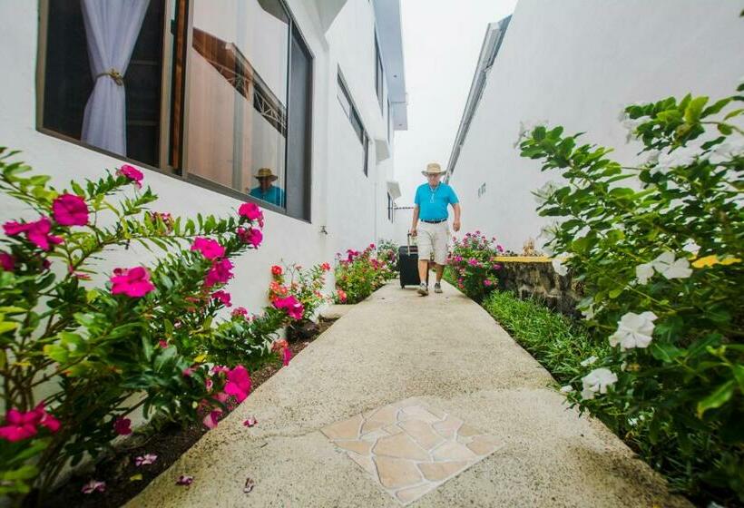 ホテル Hostal Sueños Silvestres