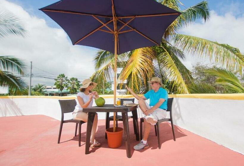 ホテル Hostal Sueños Silvestres