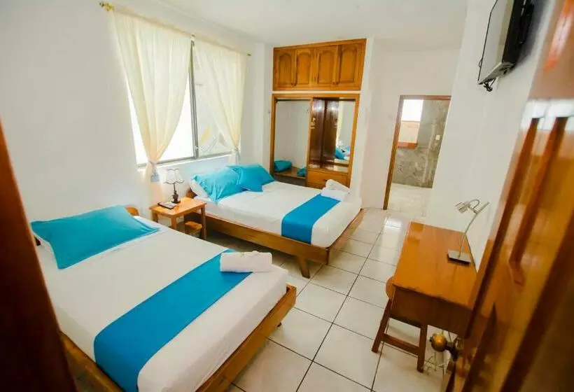 ホテル Hostal Sueños Silvestres