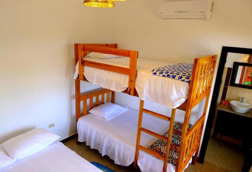 Отель Sotavento