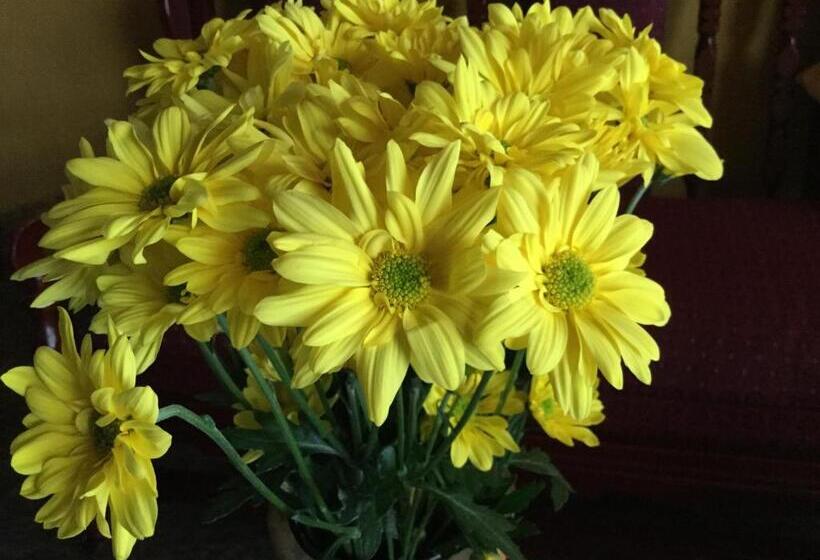 تختخواب و صبحانه Casa Pachamama