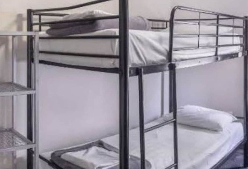 בית מלון כפרי Big Backpackers Hostel