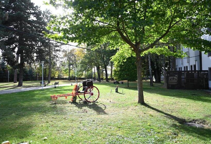 هتل Conacul Domnesc