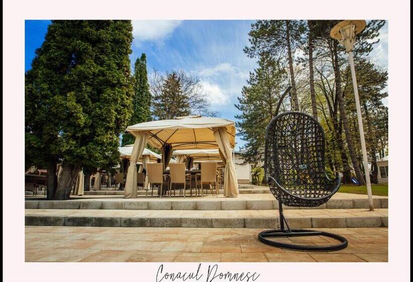هتل Conacul Domnesc