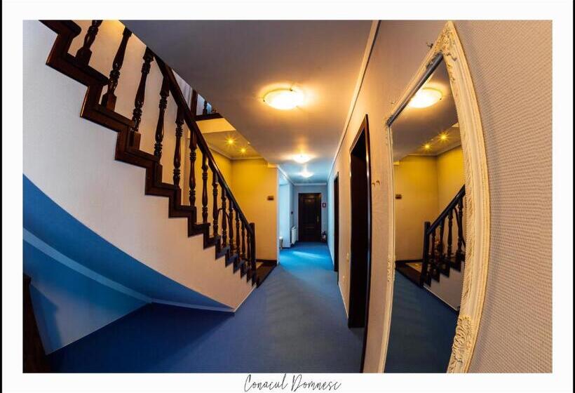 هتل Conacul Domnesc