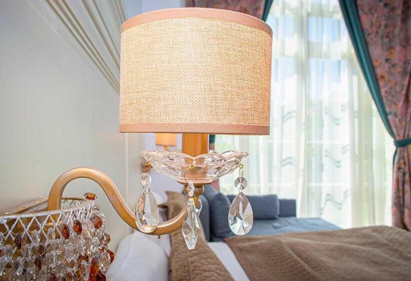 هتل Palatul Brukenthal Avrig