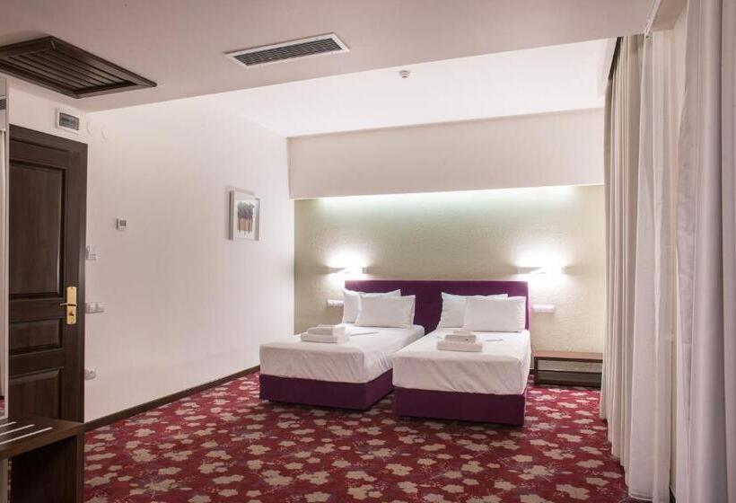 בית מלון כפרי Relax Craiova