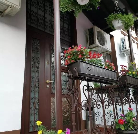 Joe Hostel