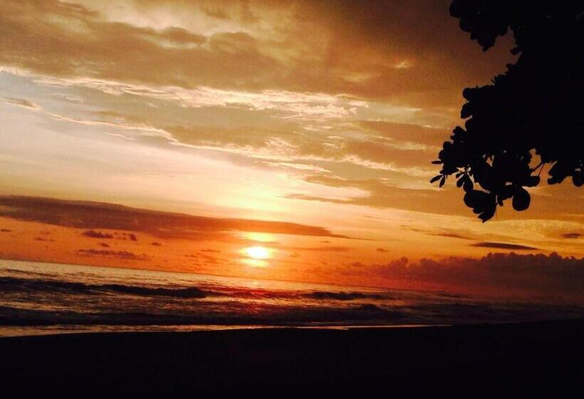 צימר Dreamy Contentment