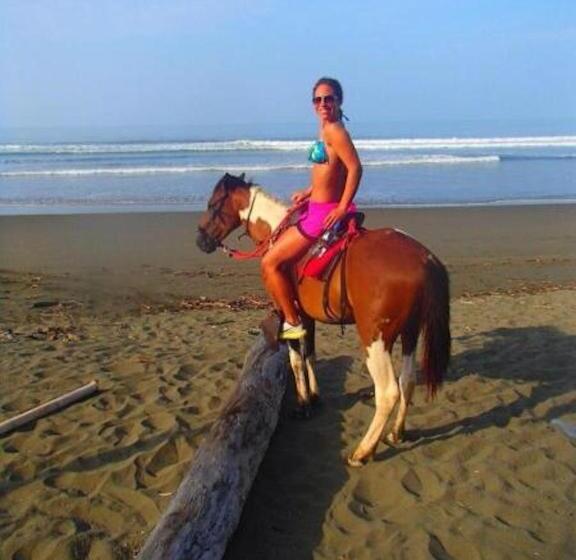 צימר Dreamy Contentment