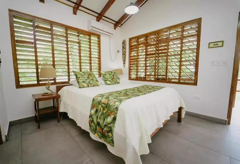 Aamiaismajoitus (B&B) Dreamy Contentment