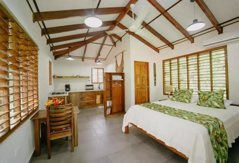 Aamiaismajoitus (B&B) Dreamy Contentment