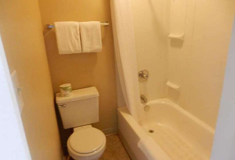 هتل Citilodge Suites