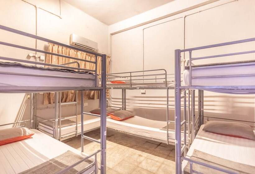 هتل City Backpackers   Hostel