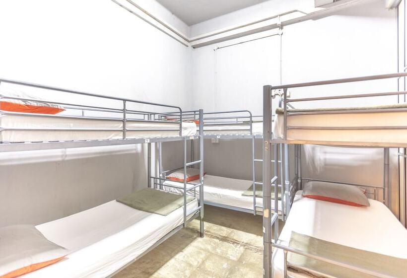 هتل City Backpackers   Hostel