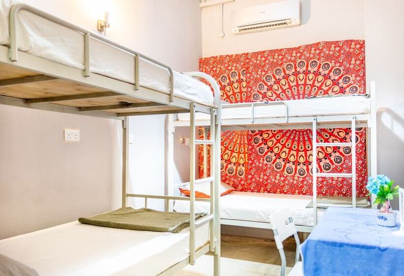 هتل City Backpackers   Hostel