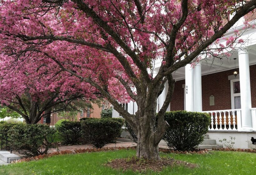 酒店 Inn At The Agora