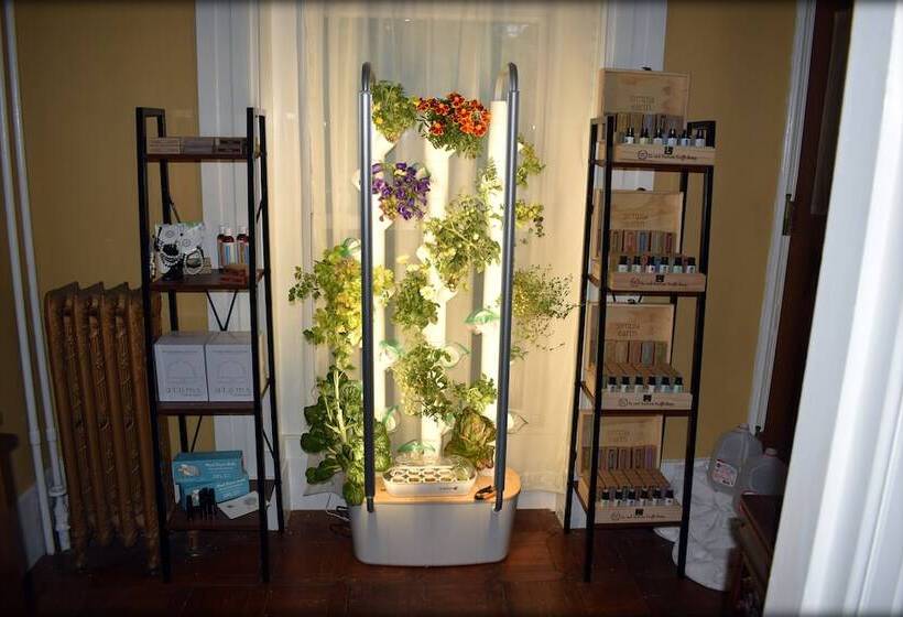 酒店 Inn At The Agora