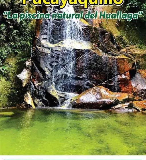 Hotelli Monteverde Tarapoto Eco Friendly