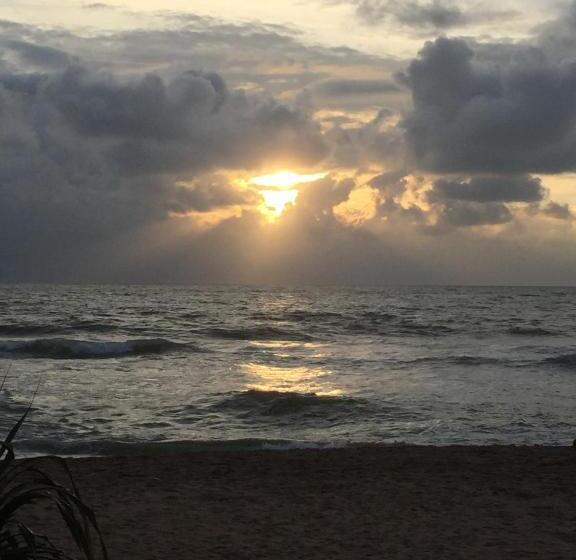 בית מלון כפרי Southern Star