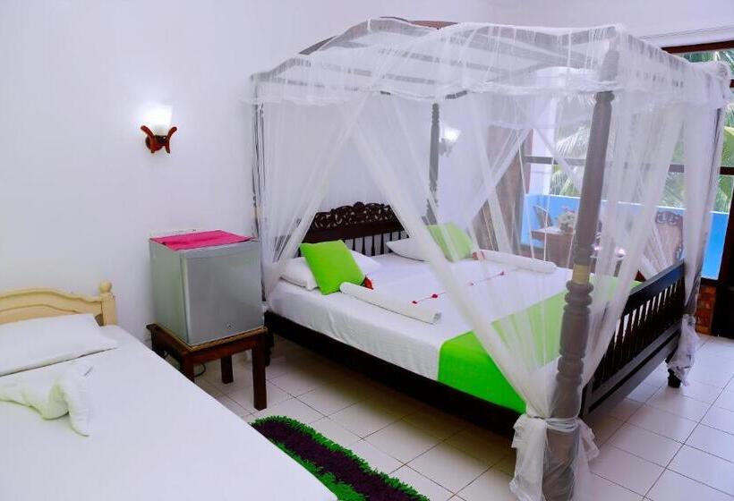 בית מלון כפרי Southern Star