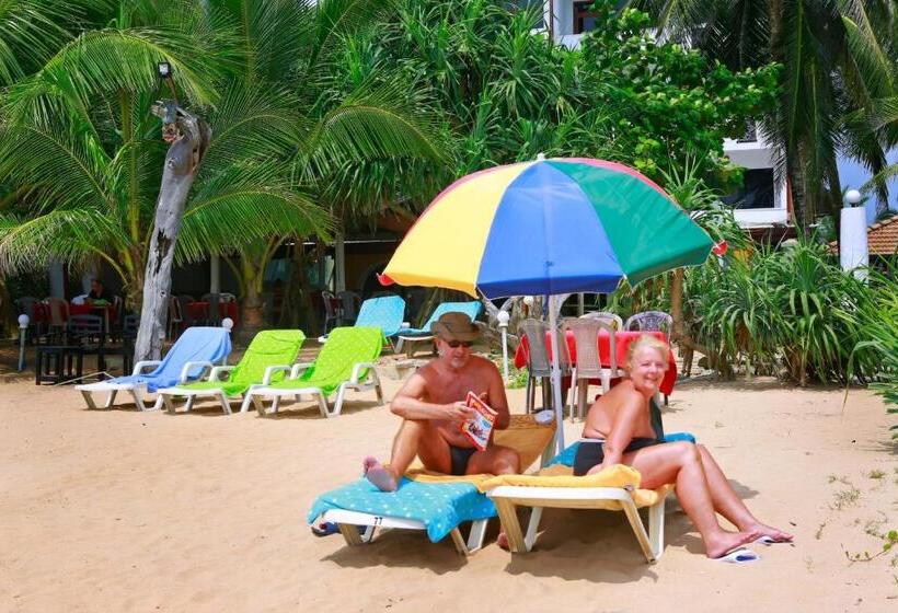 בית מלון כפרי Southern Star