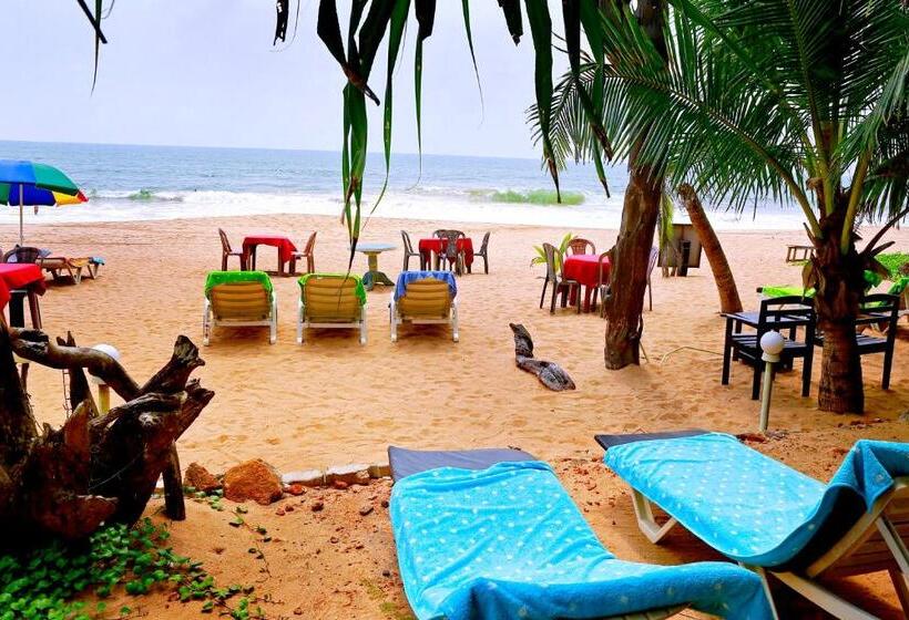 בית מלון כפרי Southern Star