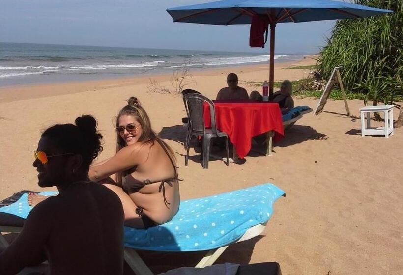 בית מלון כפרי Southern Star