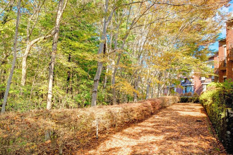 ريوكان Yamanakako Shuzanso