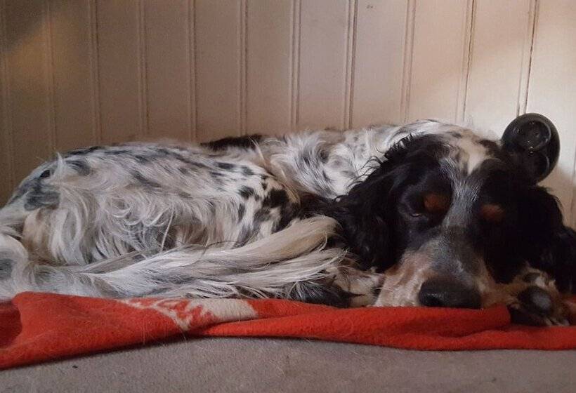 Stockholm B&b Cottage