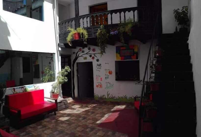 The Grasshopper Hostel