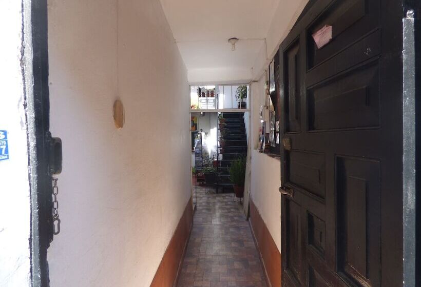 The Grasshopper Hostel