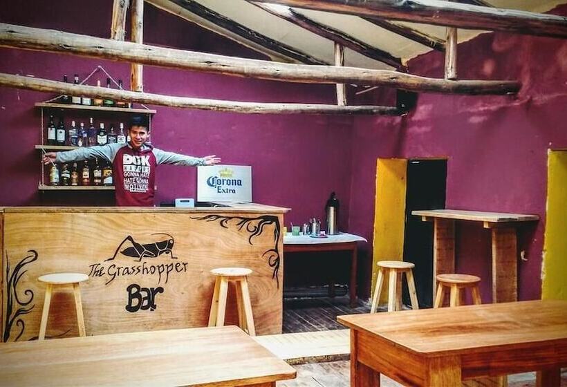 The Grasshopper Hostel