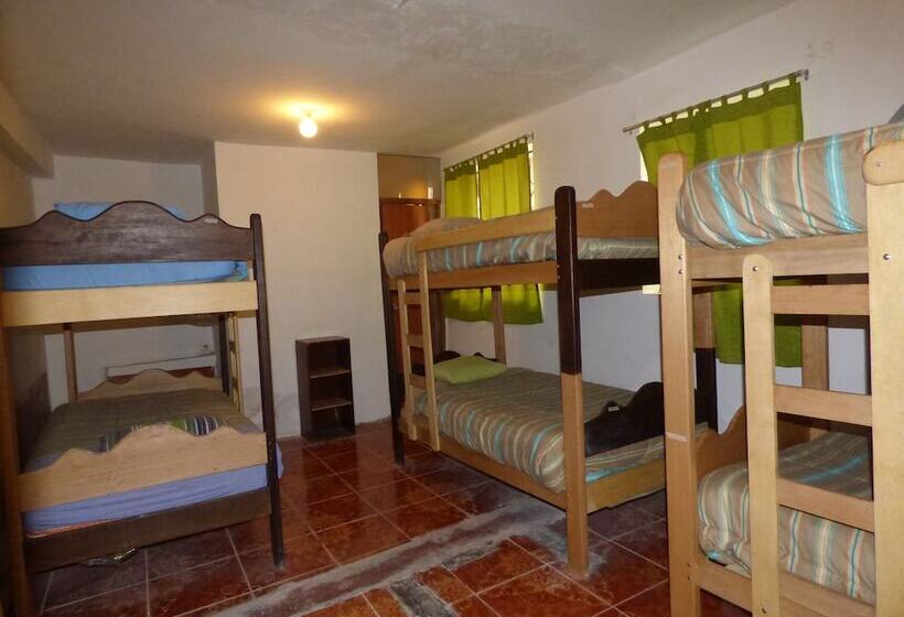 The Grasshopper Hostel