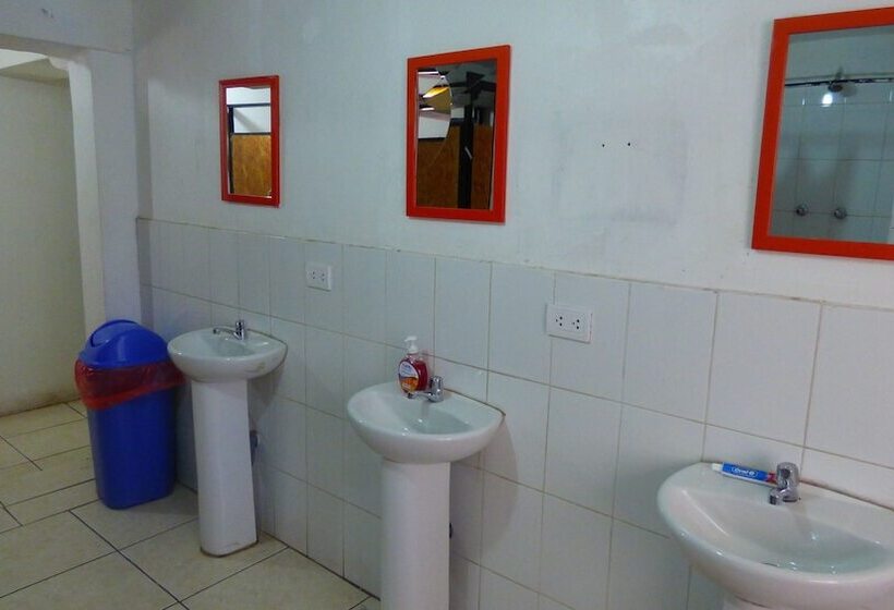 The Grasshopper Hostel