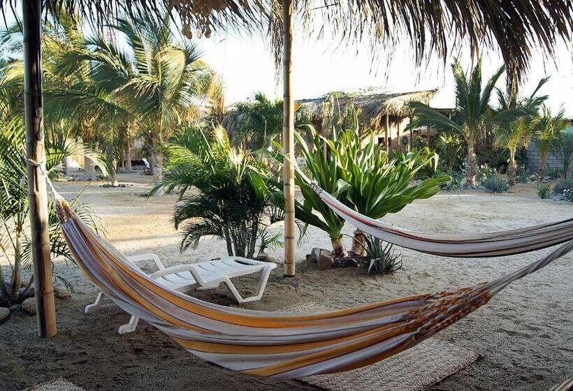 ベッドアンドブレックファースト Aquamarinn