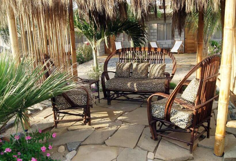 ベッドアンドブレックファースト Aquamarinn