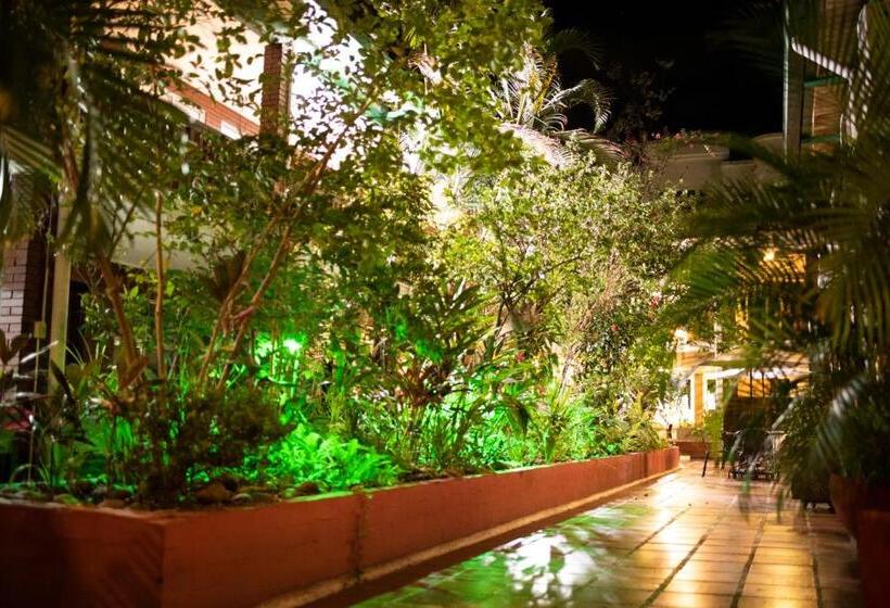 בית מלון כפרי Camoruco