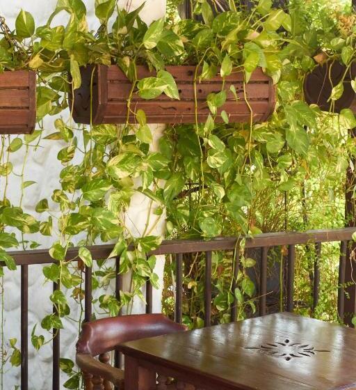 Nueva Granada Hotel Colonial  Centro Histórico