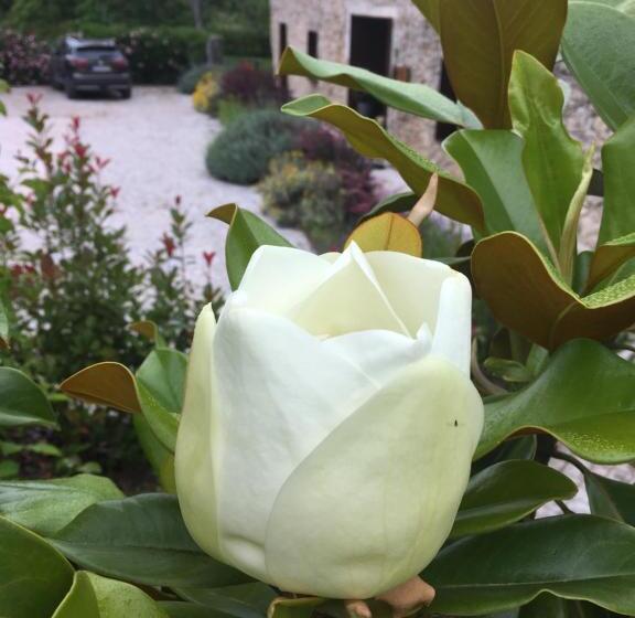 בית מלון כפרי Acquavilla