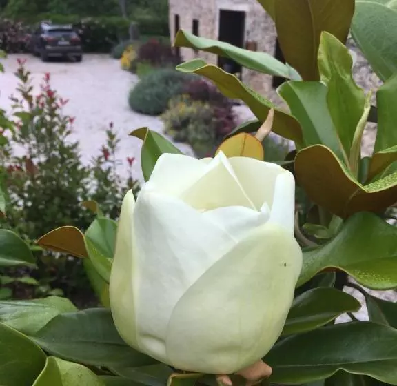 Hotelli Acquavilla