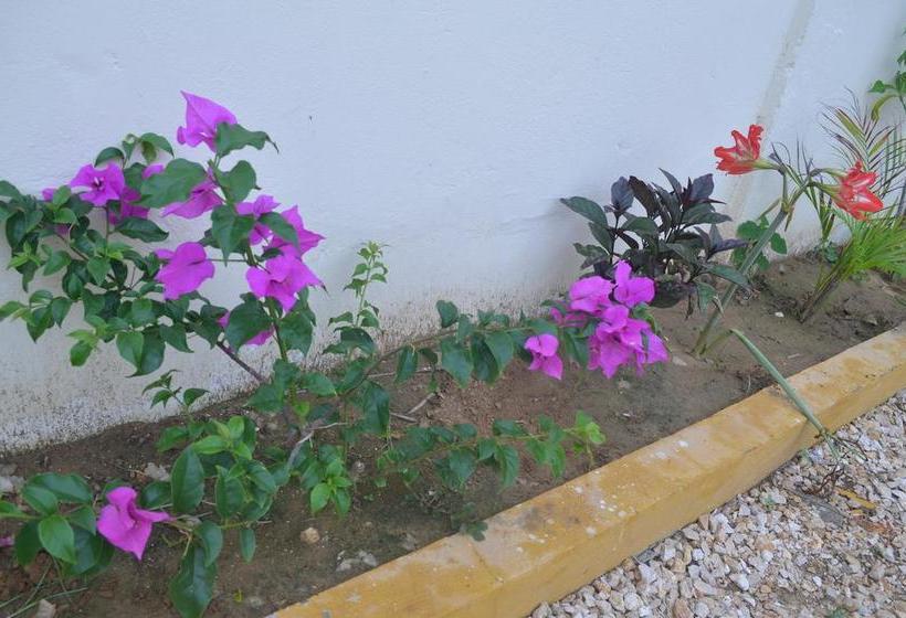 فندق Costa Mar Coveñas