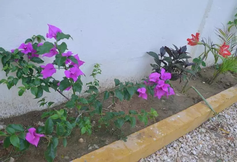 ホテル Costa Mar Coveñas
