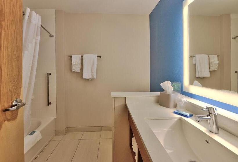 ホテル Holiday Inn Express & Suites   Roswell, An Ihg