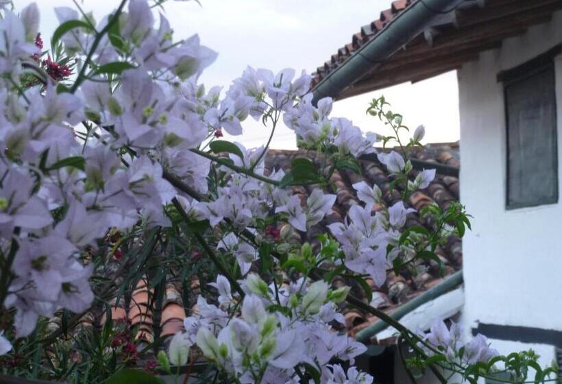 هتل Mision Santa Barbara Rnt 4799