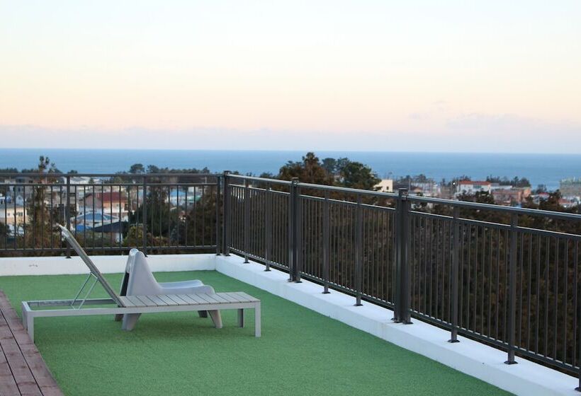 ホテル Stay Interview Jeju