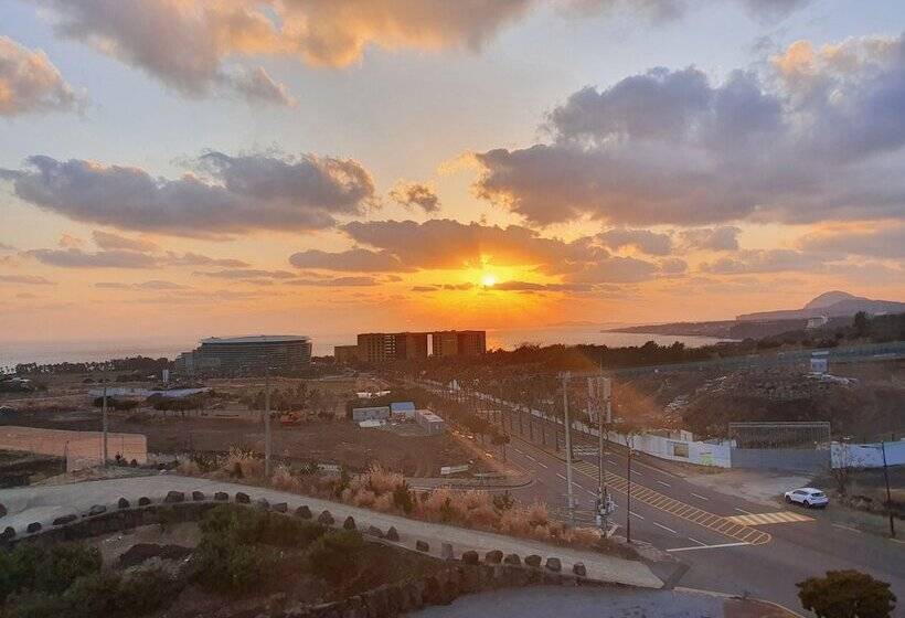 ホテル Stay Interview Jeju