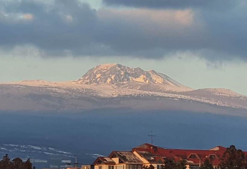 ホテル Stay Interview Jeju