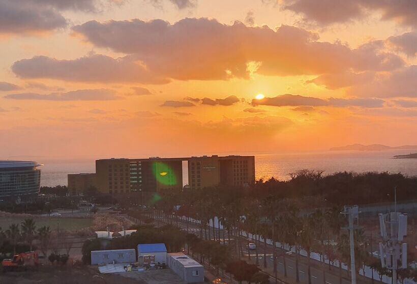 ホテル Stay Interview Jeju