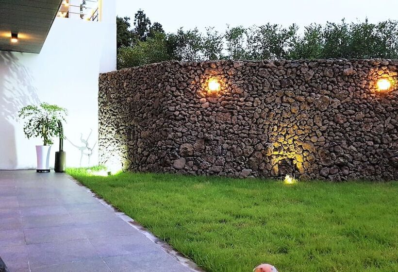 ホテル Stay Interview Jeju